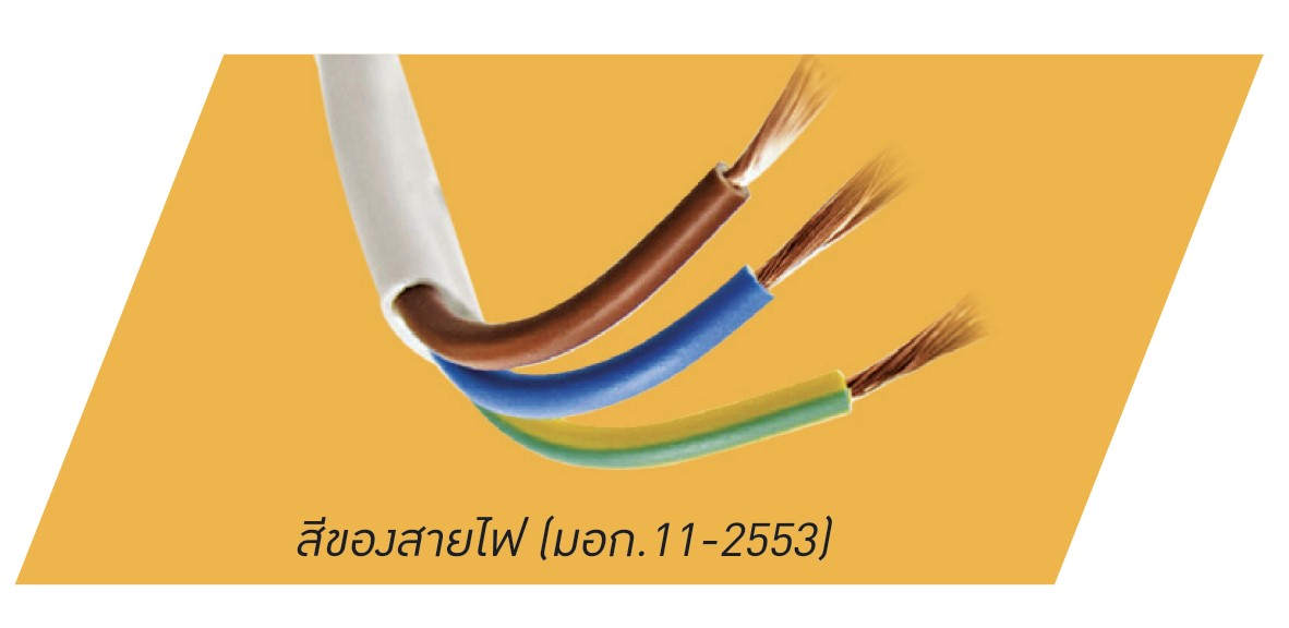 สายนิวทรัล หรือ สายเส้นศูนย์ มาตรฐานสีของสายไฟ - Thailandsurf